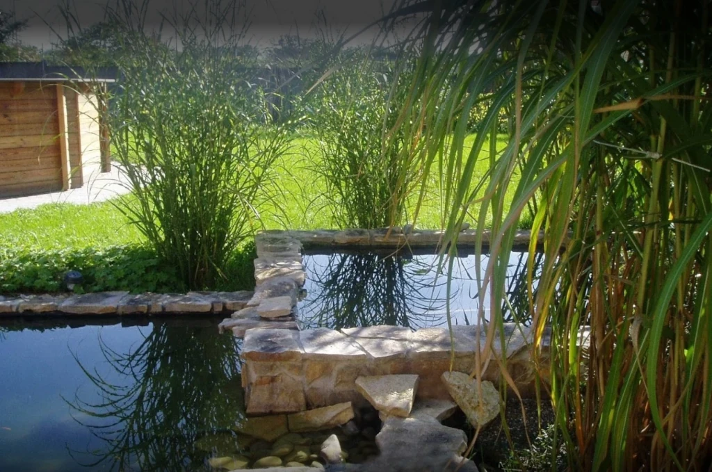Piscine de nuit par Jardin_d_or à Strasbourg